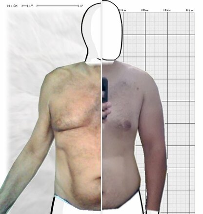 Torso Comparison