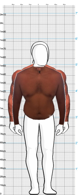 Full Size Comparison