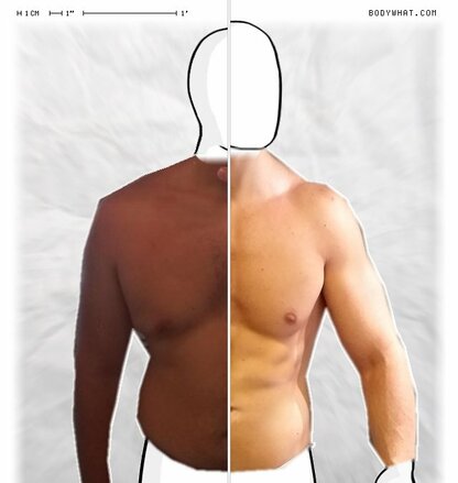 Torso Comparison