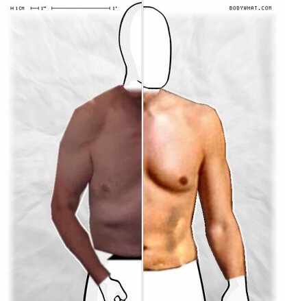 Torso Comparison