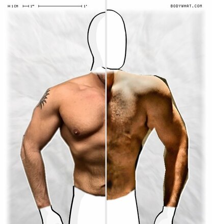 Torso Comparison