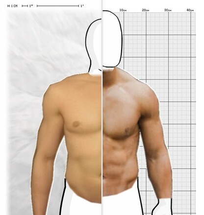 Torso Comparison
