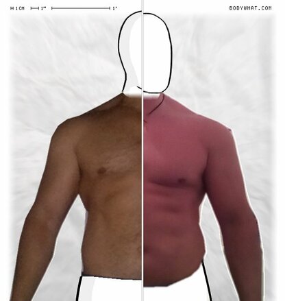 Torso Comparison