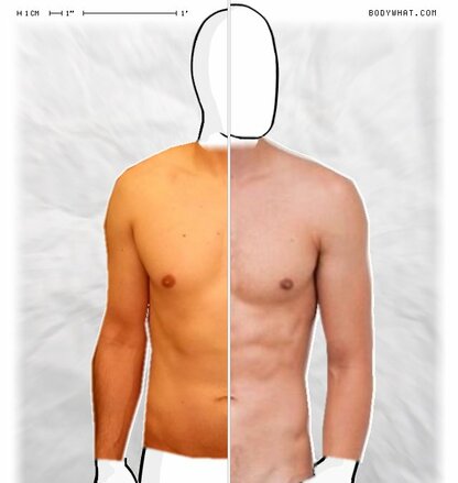 Torso Comparison