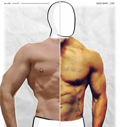 Torso Comparison