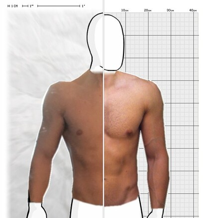 Torso Comparison