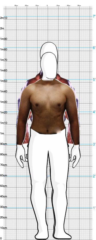 Full Size Comparison