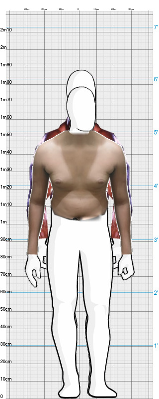 Full Size Comparison