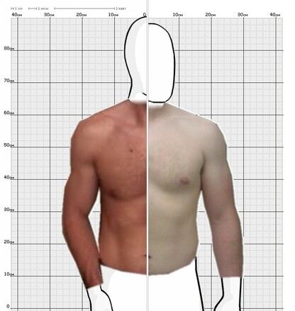 Torso Comparison