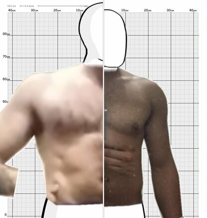 Torso Comparison