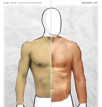 Torso Comparison