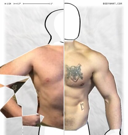 Torso Comparison