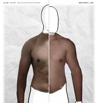 Torso Comparison