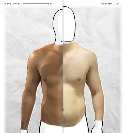 Torso Comparison