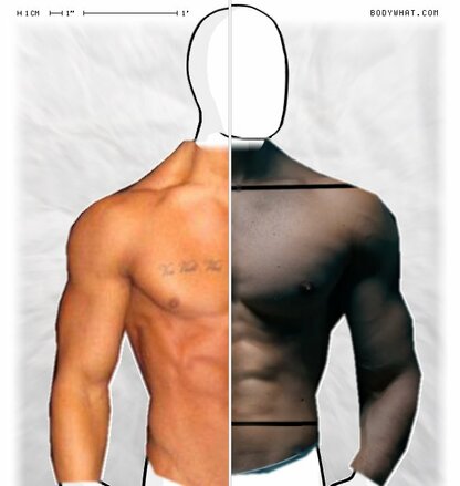 Torso Comparison