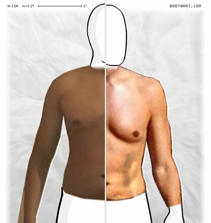 Torso Comparison