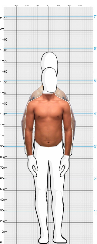 Full Size Comparison