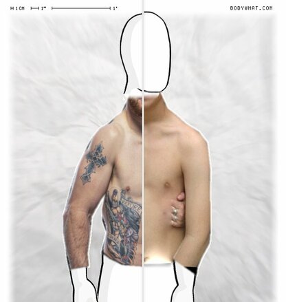 Torso Comparison