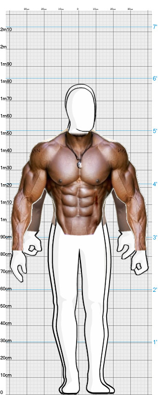 Full Size Comparison