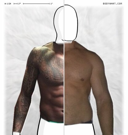 Torso Comparison