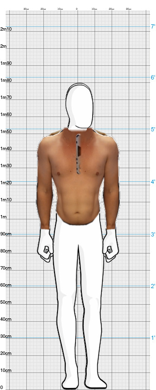 Full Size Comparison