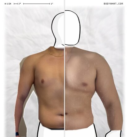 Torso Comparison