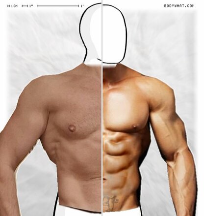 Torso Comparison