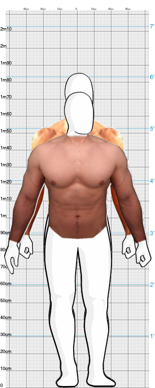 Full Size Comparison