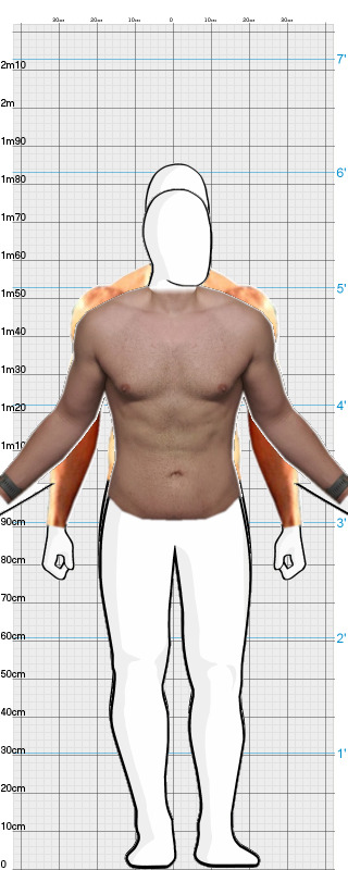 Full Size Comparison