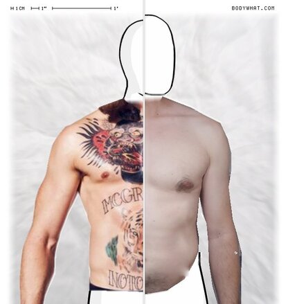 Torso Comparison