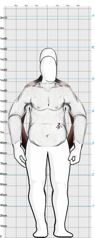Full Size Comparison