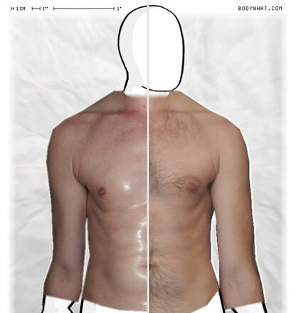 Torso Comparison