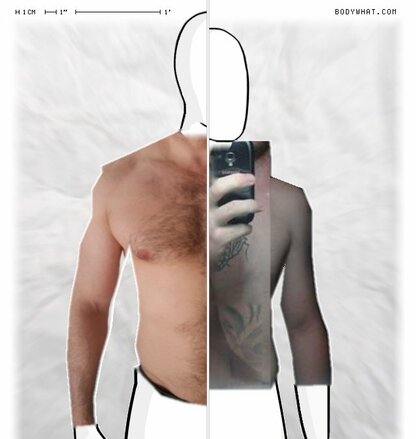 Torso Comparison