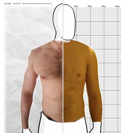 Torso Comparison