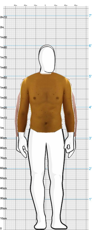 Full Size Comparison