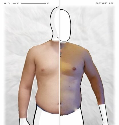 Torso Comparison