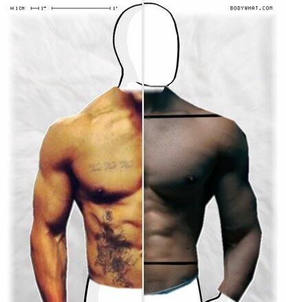 Torso Comparison