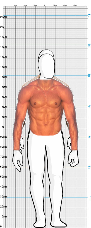 Full Size Comparison