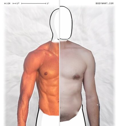Torso Comparison