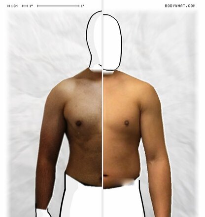 Torso Comparison