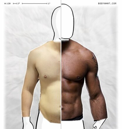 Torso Comparison