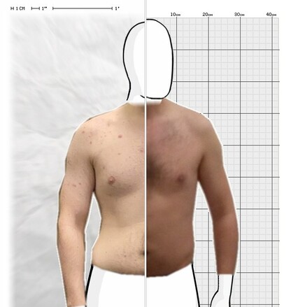 Torso Comparison