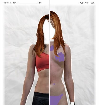 Torso Comparison