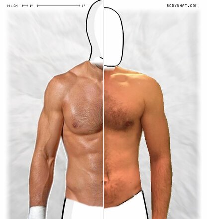 Torso Comparison