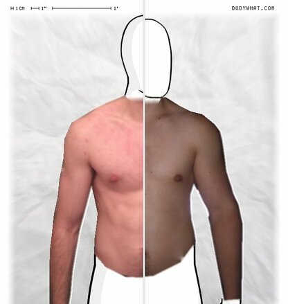 Torso Comparison