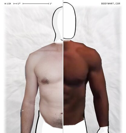 Torso Comparison