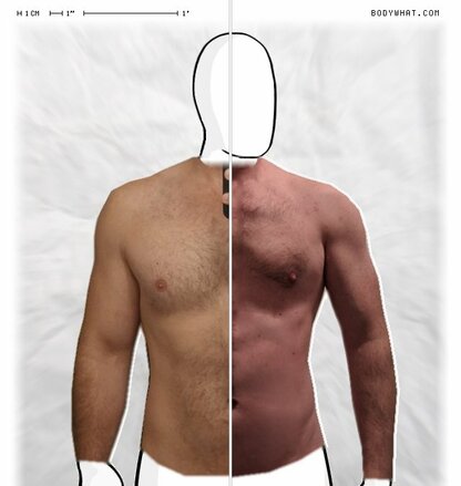 Torso Comparison