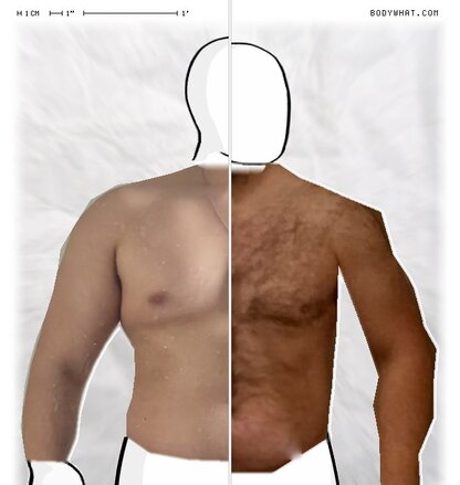 Torso Comparison