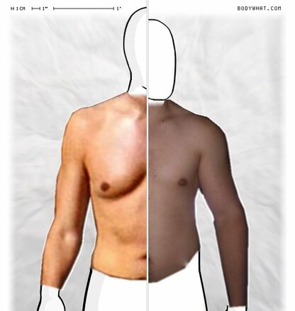 Torso Comparison
