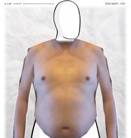 Torso